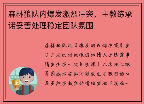 森林狼队内爆发激烈冲突，主教练承诺妥善处理稳定团队氛围